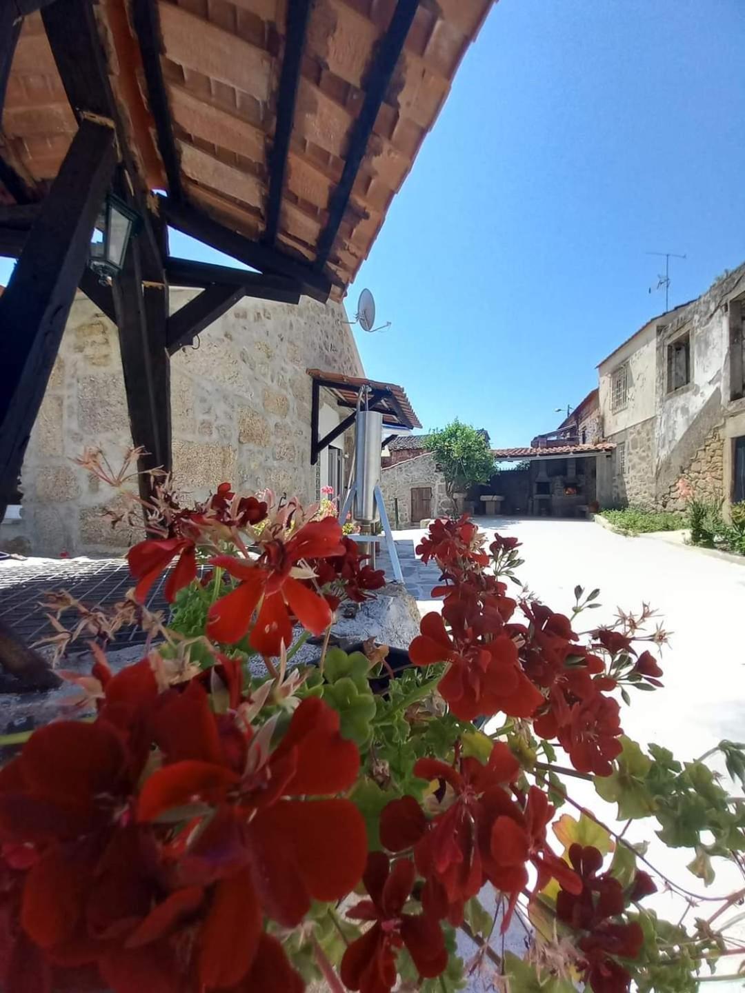 Quinta Do Cruzeiro Villa Mata  Kültér fotó